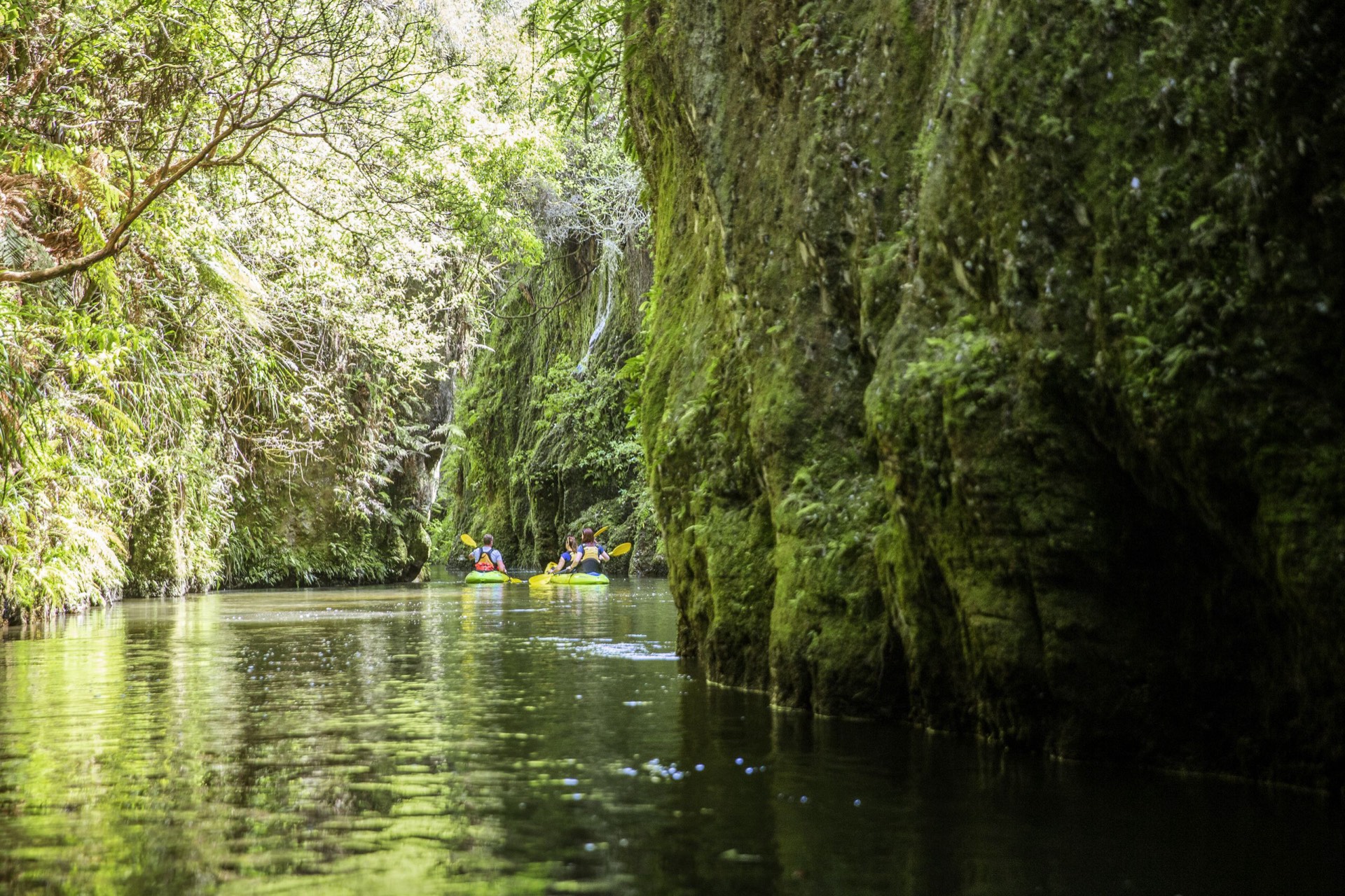 Holiday parks in Waikato
